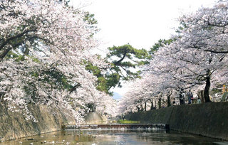 120409_syukugawa.jpg