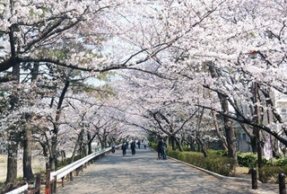 120409_syukugawa02.jpg