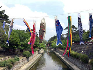 150428syukugawa00.jpg