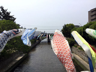 150428syukugawa01.jpg