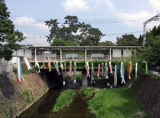 150428syukugawa03.jpg