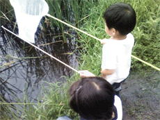 ざりがに 1.gif