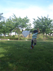 ひかる袋.gif