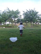 カイ袋.gif